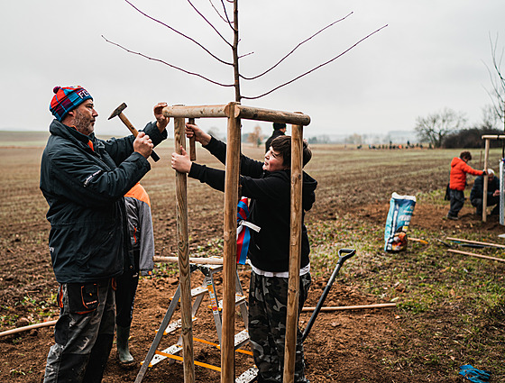 Alej svobody vysadili obyvatelé Píbrami i pespolní.
