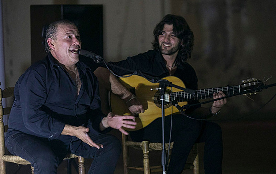Festival Den flamenka.