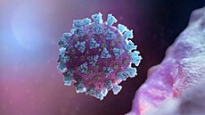 WHO hledá v Česku rychlou posilu pro boj s koronavirem. Zájemci mají na přihlášení jen dva dny