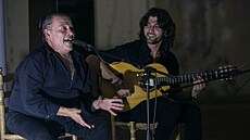 Festival Den flamenka.