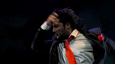 Festival Den flamenka.