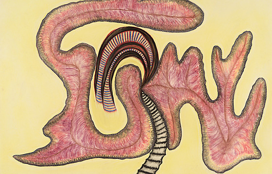 Výstava Anny Zemánkové.