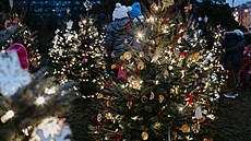 Adventní výzdoba Prahy 10 - stromeky na Kubánském námstí tradin zdobí dti...