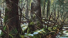 Peru�ica 4, oil on canvas, 50x40cm, 2021