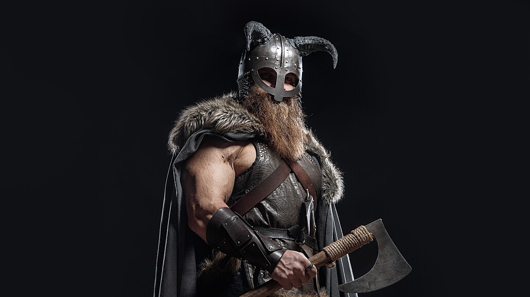 Viking (ilustrační foto)