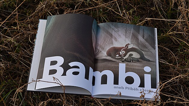 Kniha Bambi aneb Pbh z les.