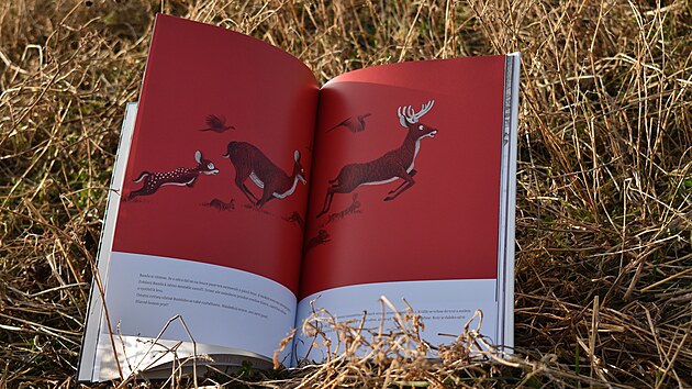 Kniha Bambi aneb Příběh z lesů.