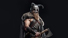 Viking (ilustraní foto)