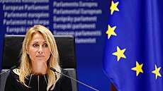 Europoslankyn za ANO a místopedsedkyn Evropského parlamentu (EP) Dita...