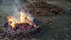 Věděli jste, že pálení bioodpadu může skončit příjezdem policie? | na serveru Lidovky.cz | aktuální zprávy