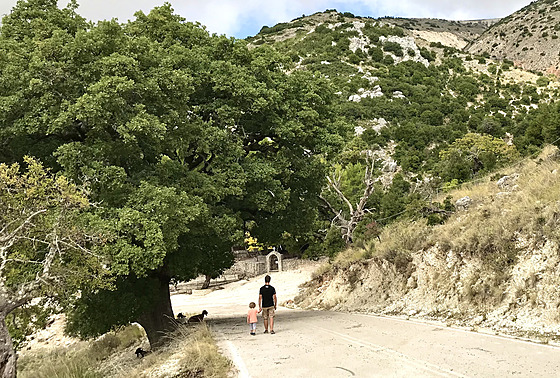 Na stee Lefkady, jdeme se podívat na stádo koz