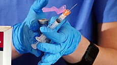 Vakcinace zatím nejde tak rychle, jak se v USA plánovalo, tvrdí americký epidemiolog