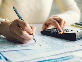 Jak vyplnit da�ové p�iznaní