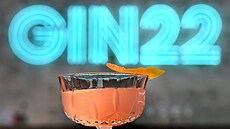 V posledních letech byste asi t�ko hledali oblíben�j�í drink, ne� je práv� gin...