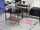 ÚHKT je hematologické centrum excelence v �esku. Sídlí v srdci Prahy na Karlov�...