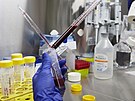ÚHKT je hematologické centrum excelence v �esku. Sídlí v srdci Prahy na Karlov�...