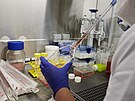 ÚHKT je hematologické centrum excelence v �esku. Sídlí v srdci Prahy na Karlov�...