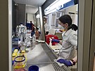 ÚHKT je hematologické centrum excelence v �esku. Sídlí v srdci Prahy na Karlov�...