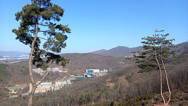 Pohled na kampus z nejbliho kopce.