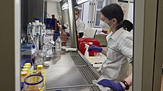 ÚHKT je hematologické centrum excelence v �esku. Sídlí v srdci Prahy na Karlov�...
