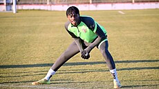 Amilcar Djau Codjovi