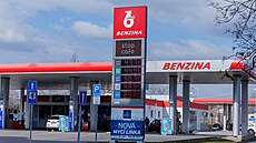 Nafta přes 50 korun za litr? | na serveru Lidovky.cz | aktuální zprávy