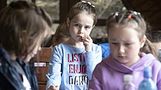 Výuka ukrajinských dětí | na serveru Lidovky.cz | aktuální zprávy