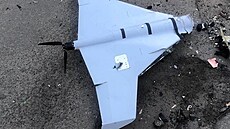 Fotek sestřelených či spadlých letounů KUB jsou plné sociální sítě. Tento... | na serveru Lidovky.cz | aktuální zprávy