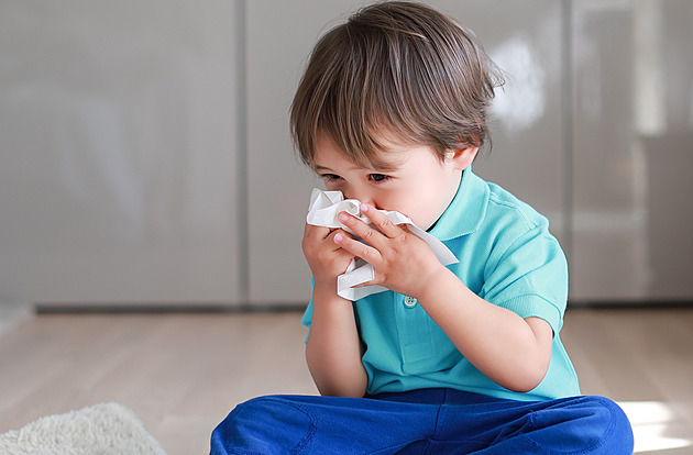 Moderní lékárnička pro alergiky: Proč začít s přípravou už v únoru