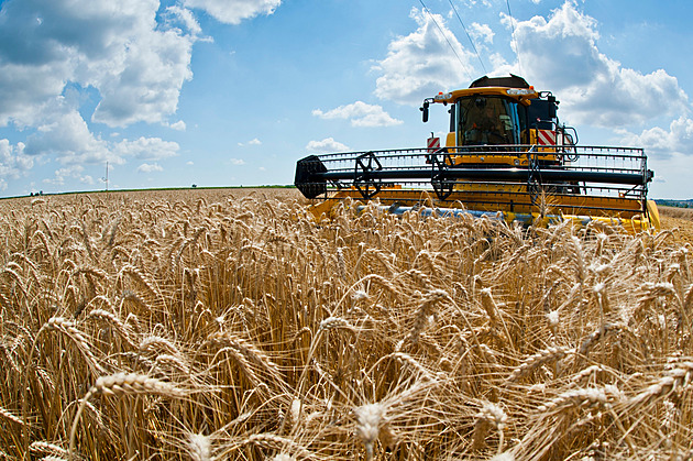 Výrobní inflace v zemědělství se už rok snižuje. Ekonomové popisují, jak bude dál ovlivňovat ceny potravin
