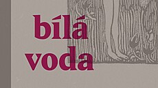 Obálka knihy Bílá voda.