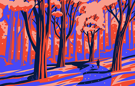 Jaromír 99: ilustrace z knihy Mimosezóna