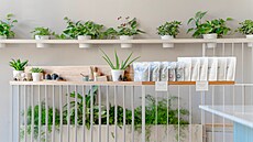 Na za�átku února na Smíchov� otev�ela druhá pobo�ka vyhlá�eného vinohradského...