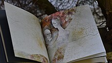 Máchv Máj s ilustracemi Martina Augustína.