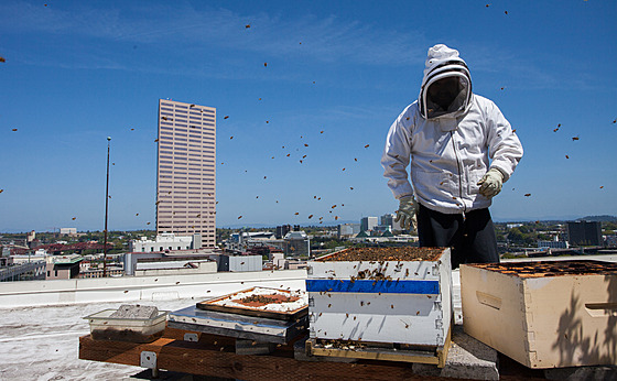 V�ela�ení na st�e�e