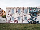 pika evropského a eského street artového umní v Plzni
