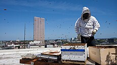 Včelaření na střeše