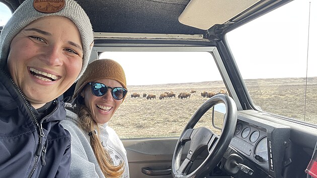 Na silnicích roztál led a my se řítily dál, vstříc národnímu parku Grassland, kde žijí zvířata, která si již dlouho přeji spatřit naživo: divoké severoamerické bizony.