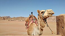 Jordánská poušť s rudým pískem. Do Vádí Rum se vrací filmaři i horolezci, vy zde můžete strávit noc u beduínů