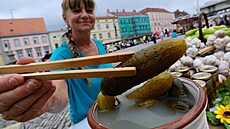 Slavnosti okurek ve Znojmě | na serveru Lidovky.cz | aktuální zprávy