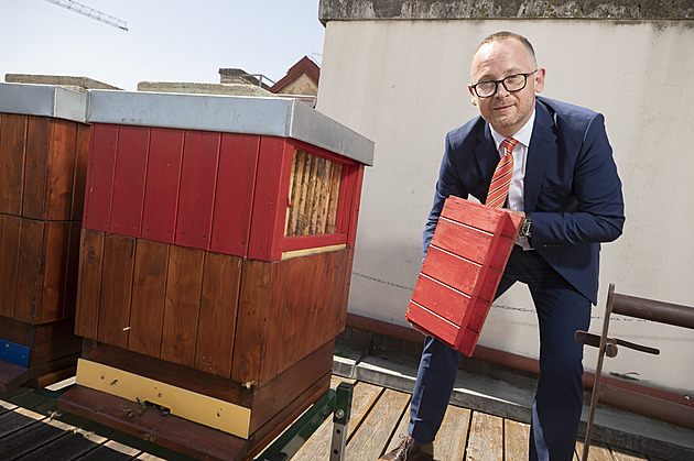 Radní ČNB Procházka: Musíme drtit obyvatele i firmy. Propad hypoték není argumentem pro změkčení pravidel