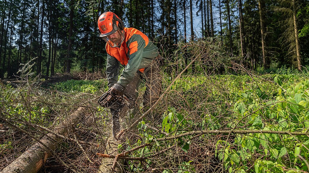 Klimatické zmny nahrávají krovci. A také souasný trend omezování pouívání...