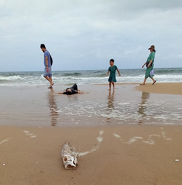 Rodinný výjev z pláže