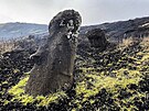 Ohoelé sochy moai na Velikononím ostrov