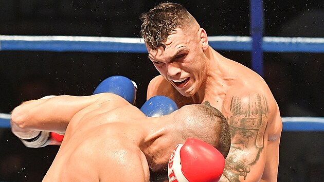 Duc�r vs. Pejsar: ostr� bitva o �esk� titul v k��ov� v�ze.