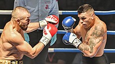 Ducár vs. Pejsar: ostrá bitva o �eský titul v k�í�ové váze.