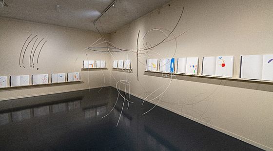 Nápad p�ipravit výstavu p�edev�ím z knih a doplnit ji pouze n�kolika...