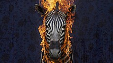 Temple of light/ Residence of Impermanence/ Zebra