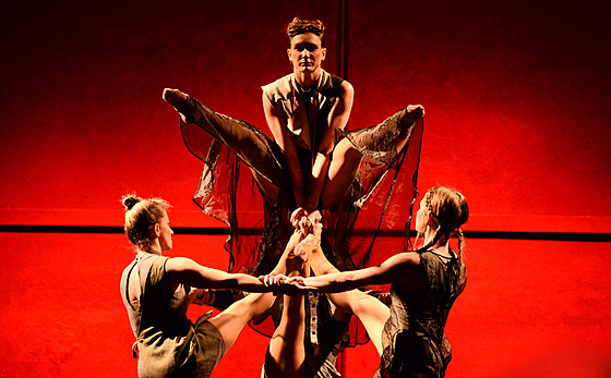 Z p�edstavení �ena, r��e, píse�, kost