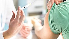 Očkování proti chřipce (ilustrační foto) | na serveru Lidovky.cz | aktuální zprávy